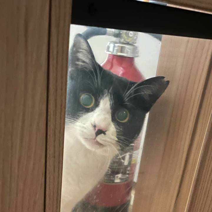 25275ff0 ad23 4a47 af14 58f590b28248 1707005439703