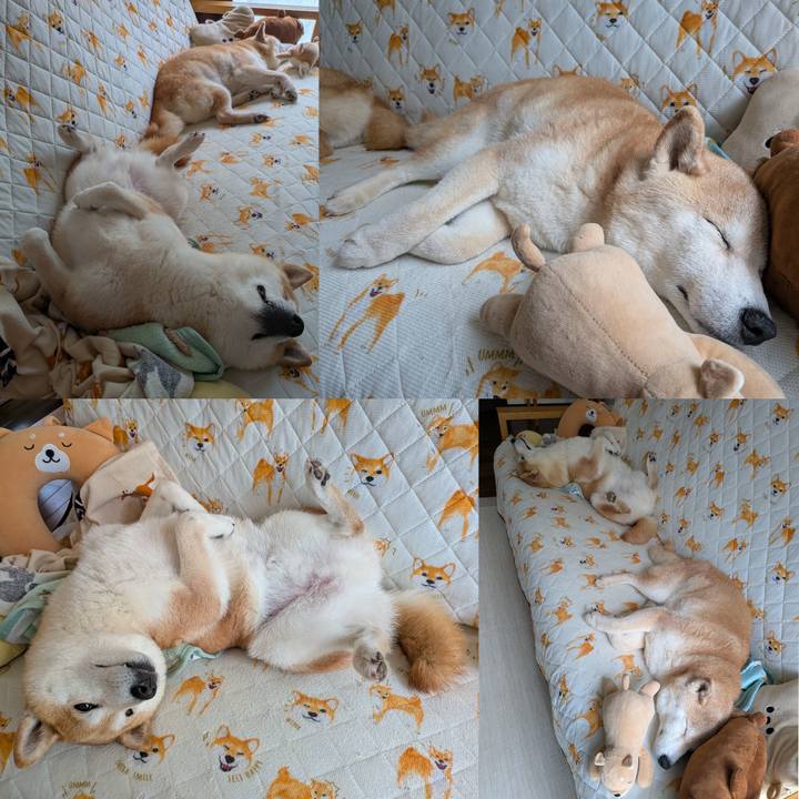 2527684d 8888 4d8b 8645 f2ee50681069 1755149059523