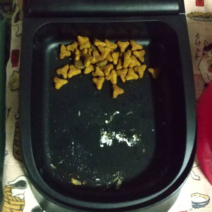 252777df 42c7 476b 8295 5e14da1a12ca 1658318307212