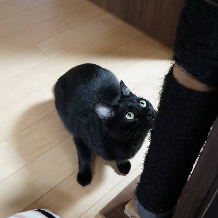 25277f9a e03c 4a1b a6b8 0a823bec11c6 1559007692946