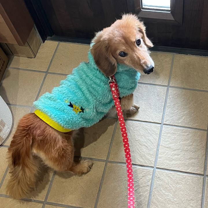 252790b3 da22 4c89 bbfd 22b31e84c114 1644323478015