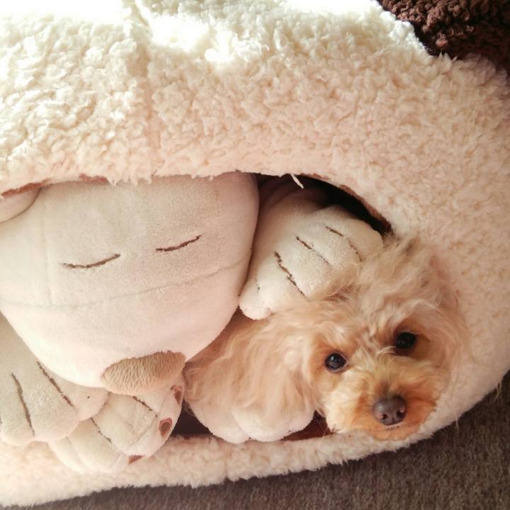 2527d88a b9cb 41e3 8026 ac7017731e67 1516956132971