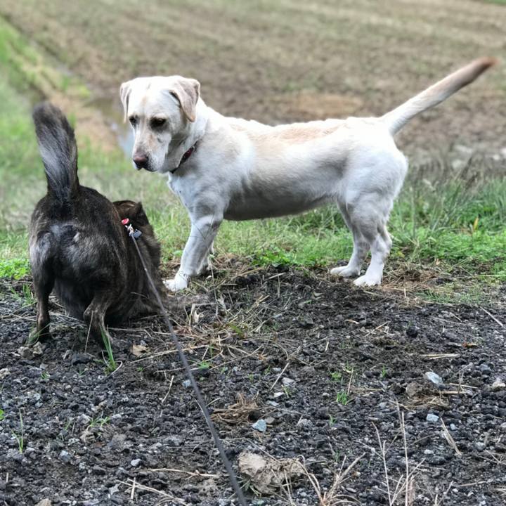 2527e812 caf4 43bc aac0 b8cdcd070f6c 1541030302327