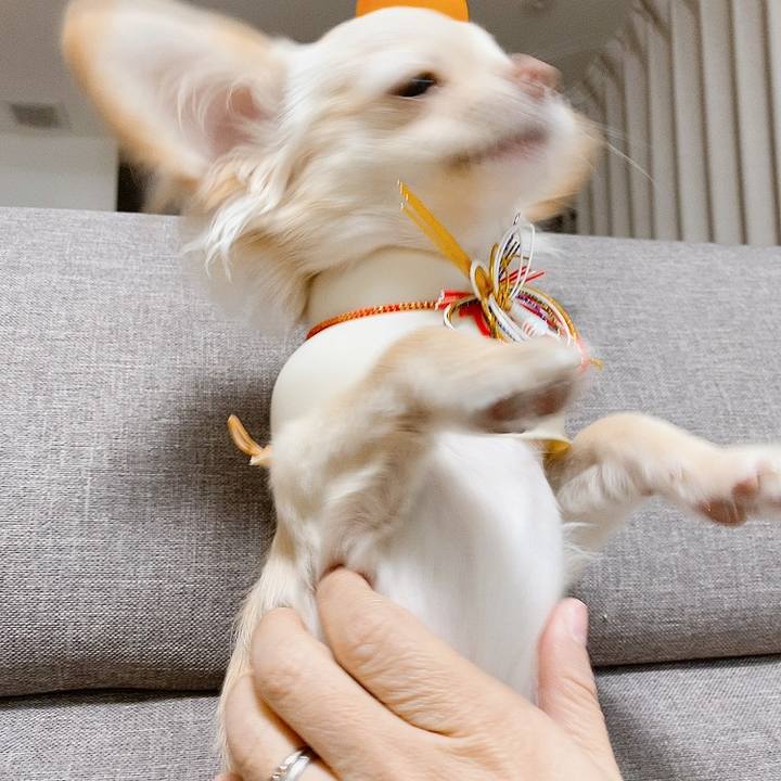 25283885 c474 458b 9259 f1c154aedd13 1610724956948