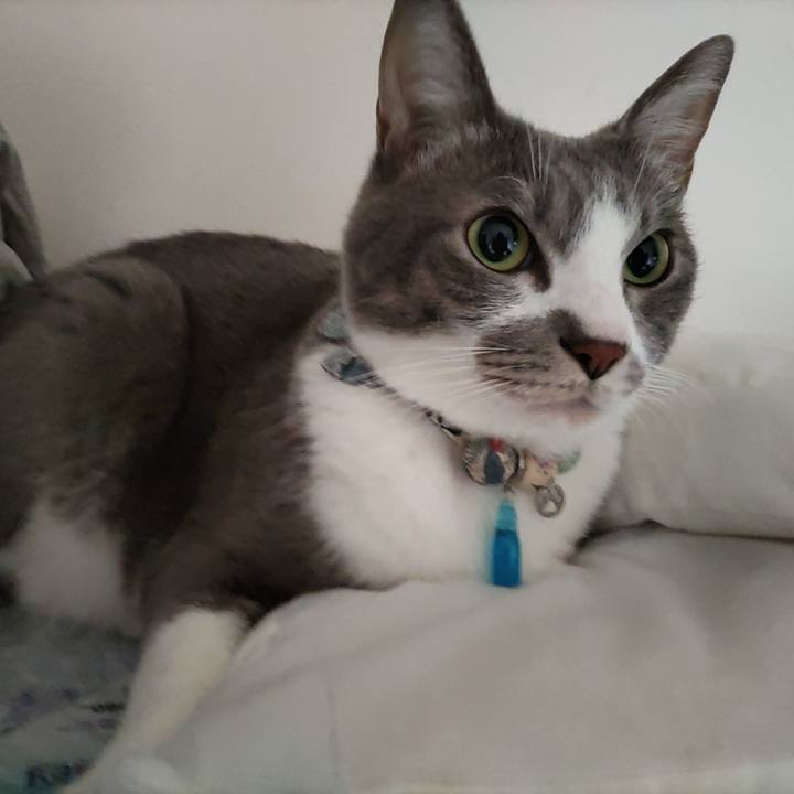 25284fd4 66e1 4861 b426 7a39a7310cef 1698443887061