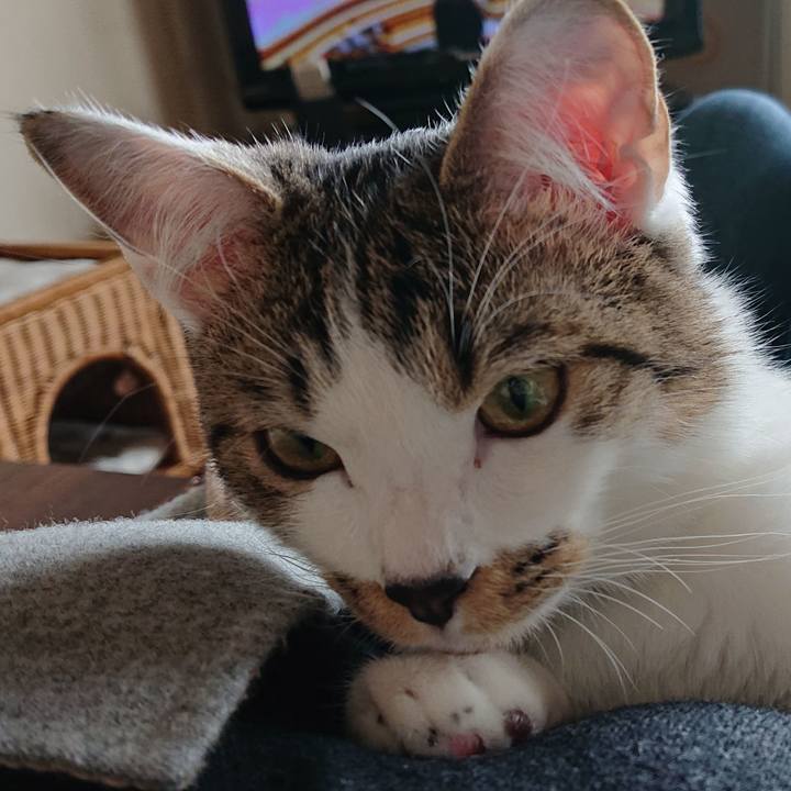 25286060 6b63 43f4 a5af 806a9b40e9d6 1555116520069