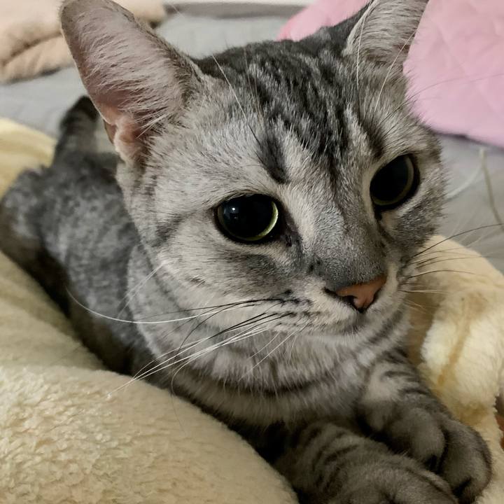 25286e3d b4d5 4f66 b783 7d98b2c950a6 1628897007248