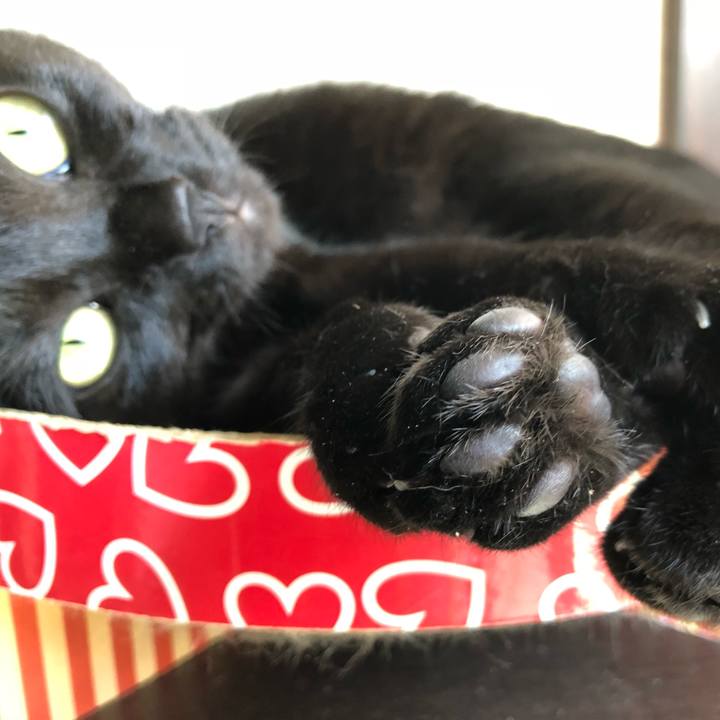 25288594 b9d2 4f5b a6b4 6c8dbe910b62 1524994224343