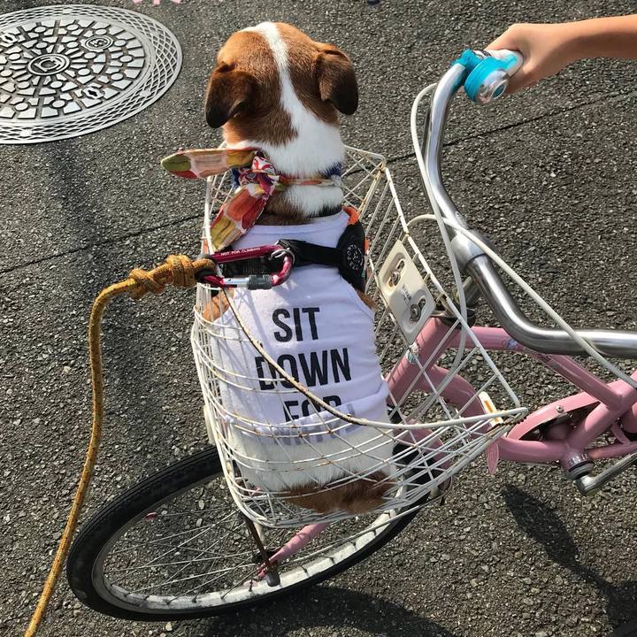 25289676 26e0 4c5e a4fe 6027d43d6226 1658800326713