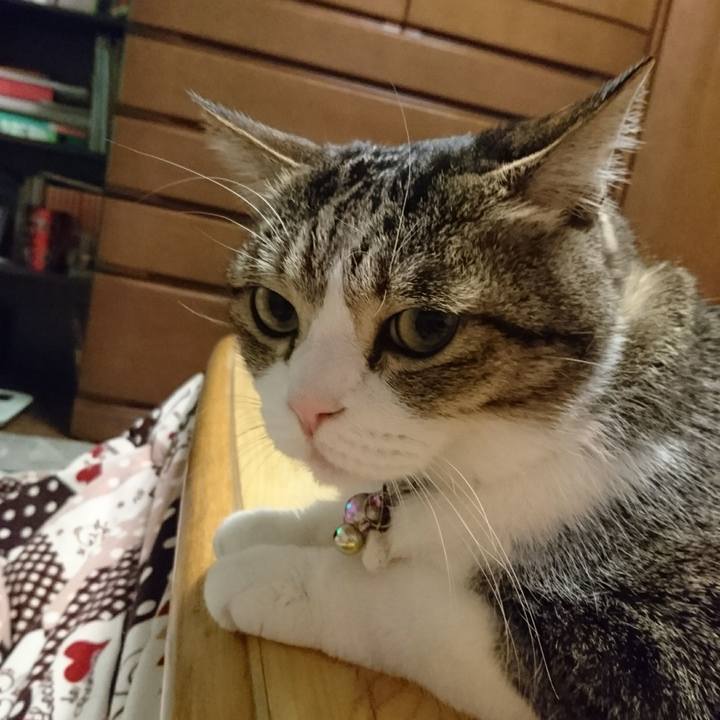 2528a8a5 286a 4cc3 8af7 7760ba617ce4 1521803874551