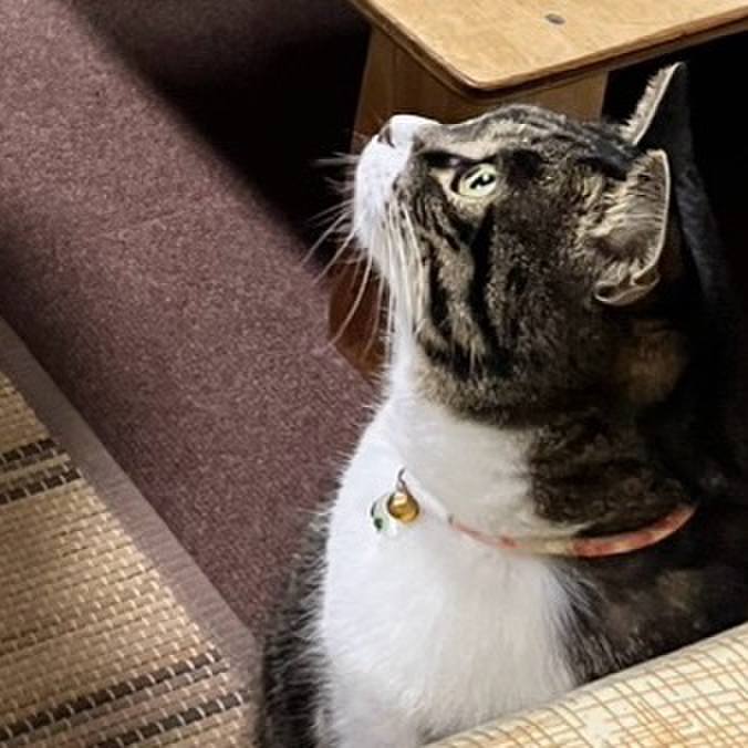 2528ac4a faf5 440b b11c 58d034be98b6 1773012341300