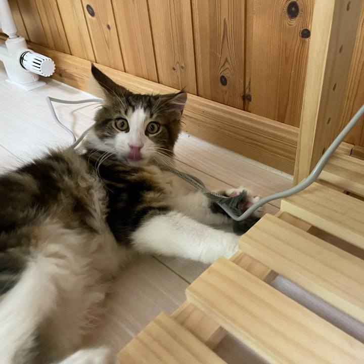 2528b741 cdb1 4fce a703 5803cedf8b5d 1634632696971