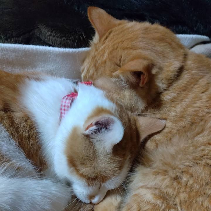 2528ed04 12b3 444d 9201 5fd77c10b7df 1746519164917