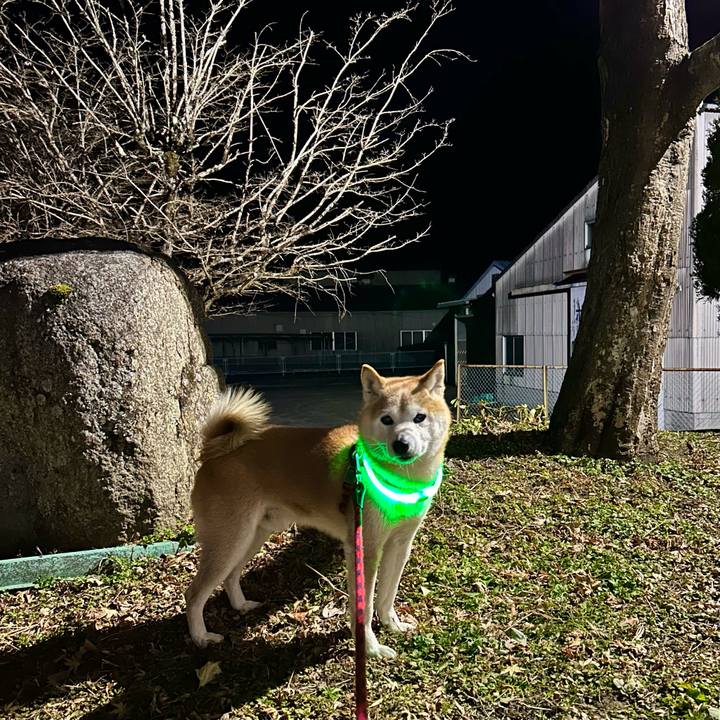 2529b9ca 2e30 4b09 9f05 ccd2bb57c477 1737892005626