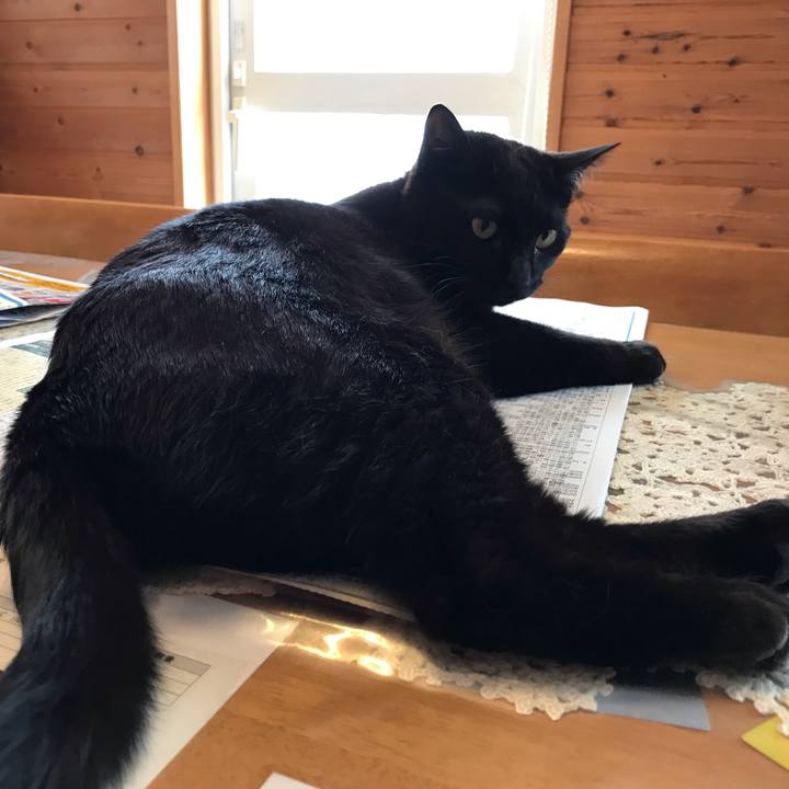 2529bbf3 fca3 46dc a8d7 4c61d6313cba 1586467536047