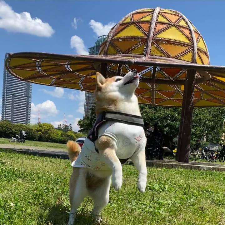 2529fd05 e697 4af1 8a58 123dda2e6bb3 1651558303017