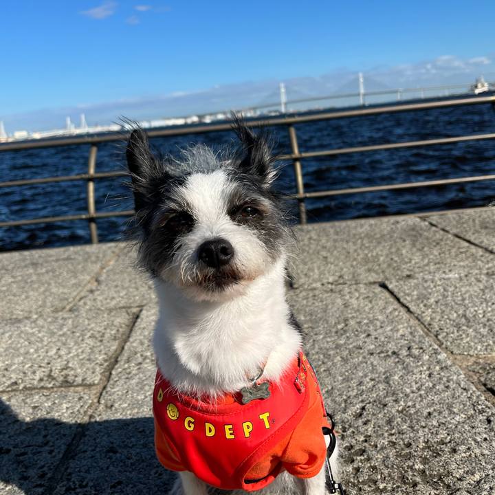 2529fdd9 2f71 4061 a208 2489b815ee37 1697978276175