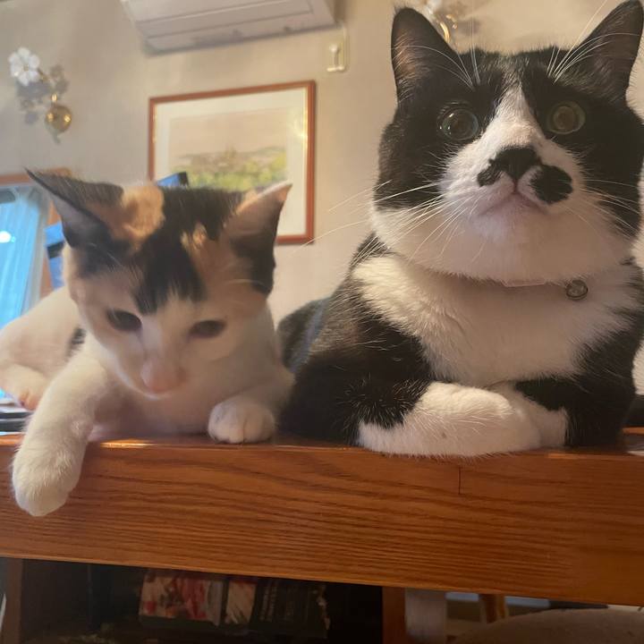 252a0fe4 ce08 411a ab01 72e38ceff0a6 1669428143799