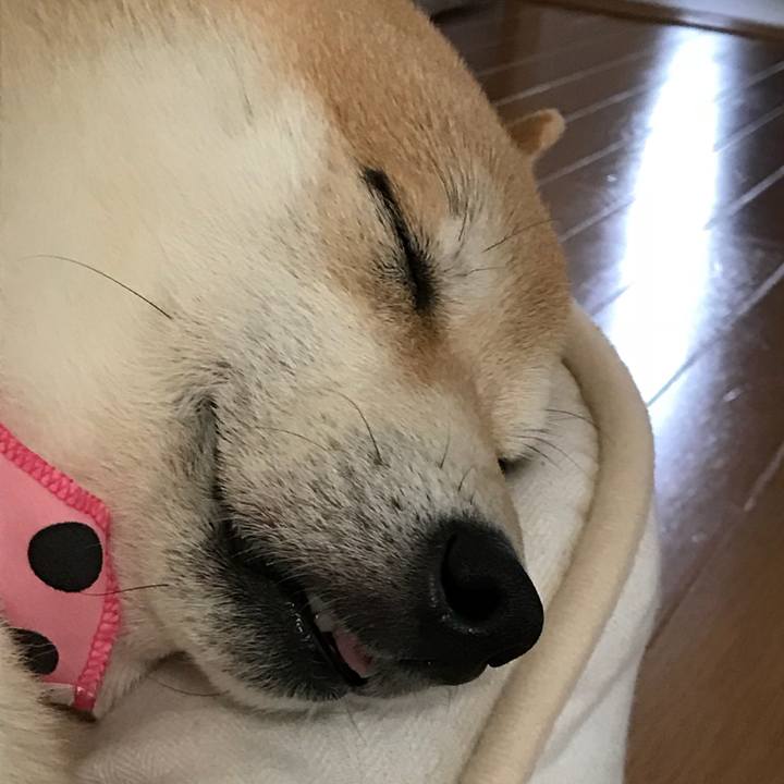 252a310e 20f5 4300 89d6 37e943326237 1527140722132