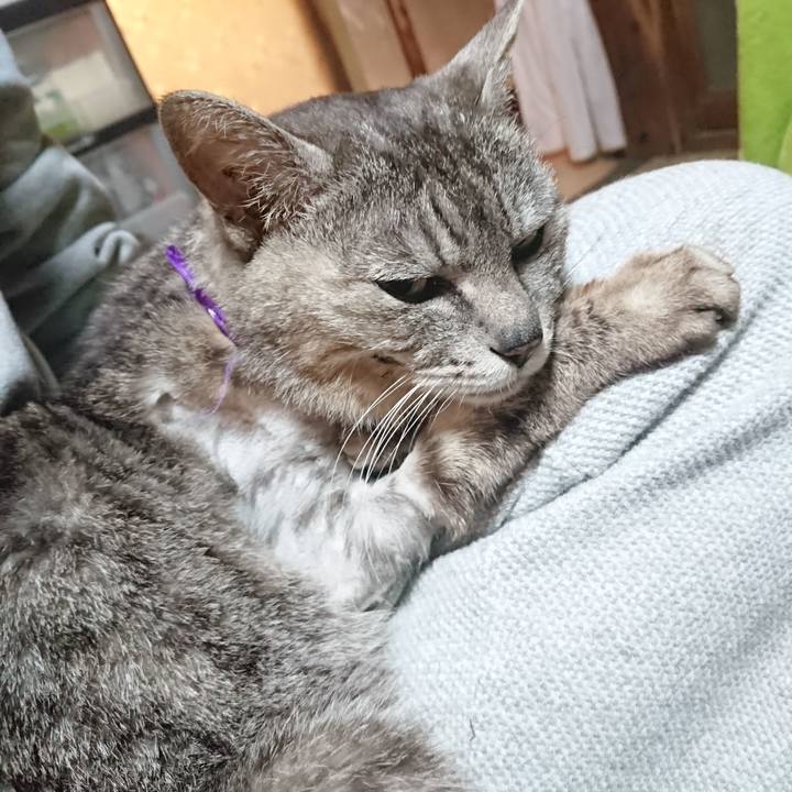 252a422c 9663 4cb0 867d 59b5def3fef8 1590782700693