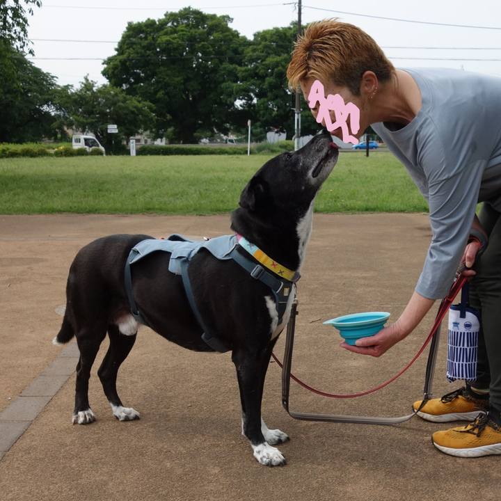 252a66eb d2c3 48b1 88d0 a0ead8df7178 1747182161812