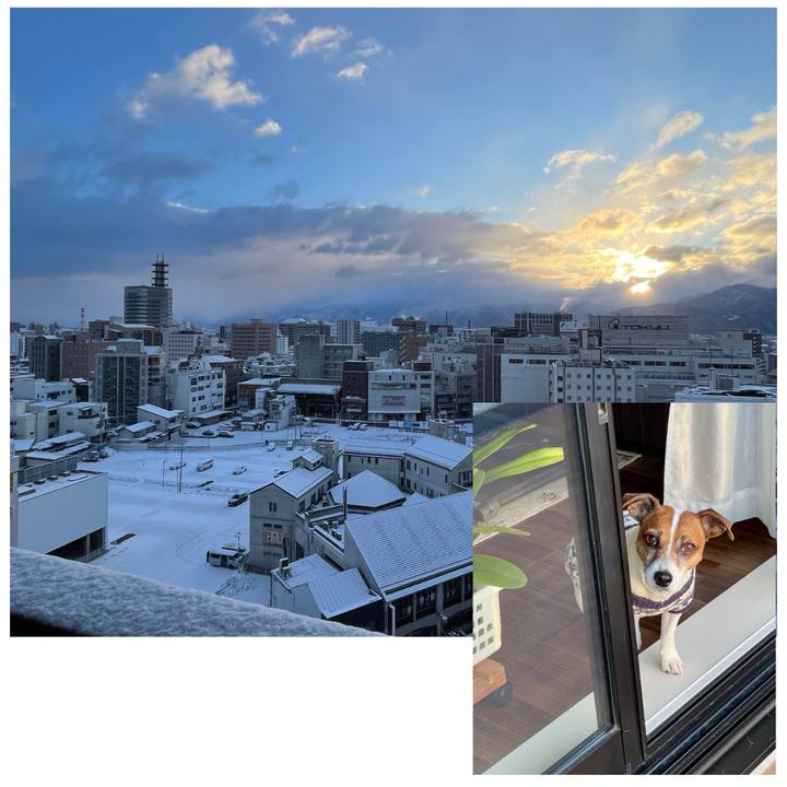 252aa4df 9941 4193 8613 9da18b1504f8 1739919925207