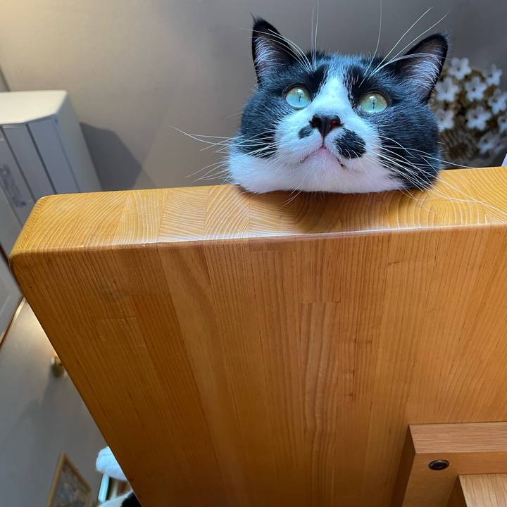 252ad2b0 fd1b 4523 bcea c066b79ee772 1664415711970