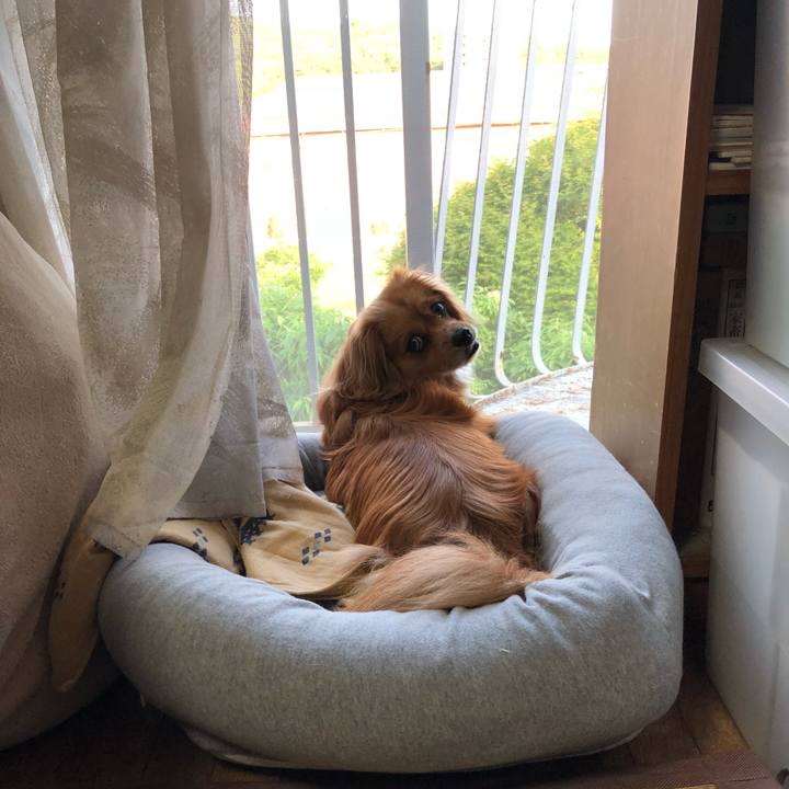 252af6a7 db9d 4364 b96a a777112908c6 1527934798020