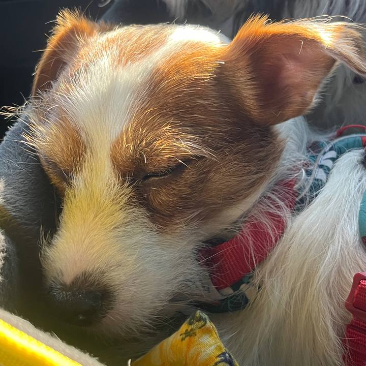 252b15db afc7 4ad5 bd59 c3240ca31329 1763183946125