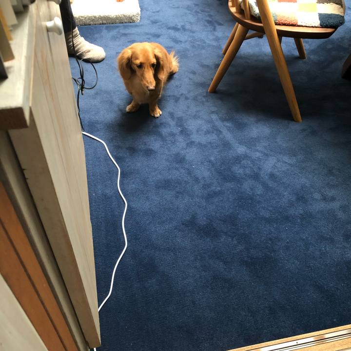 252b3058 b625 4e8e 85ed 4e1590fa05e7 1600604401917