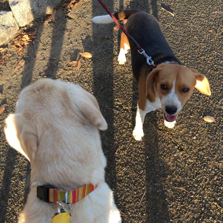 252b32f7 b9dc 4e7d a74d 6070ba711842 1537345926652