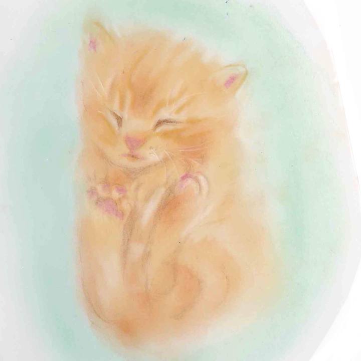 252b9cc9 25e4 4e75 b8d4 72d8b8437b32 1591420980897