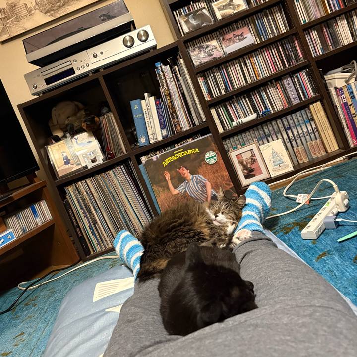 252ba06d d9c1 4c4b 9d61 bc46bacb6f83 1763475200487