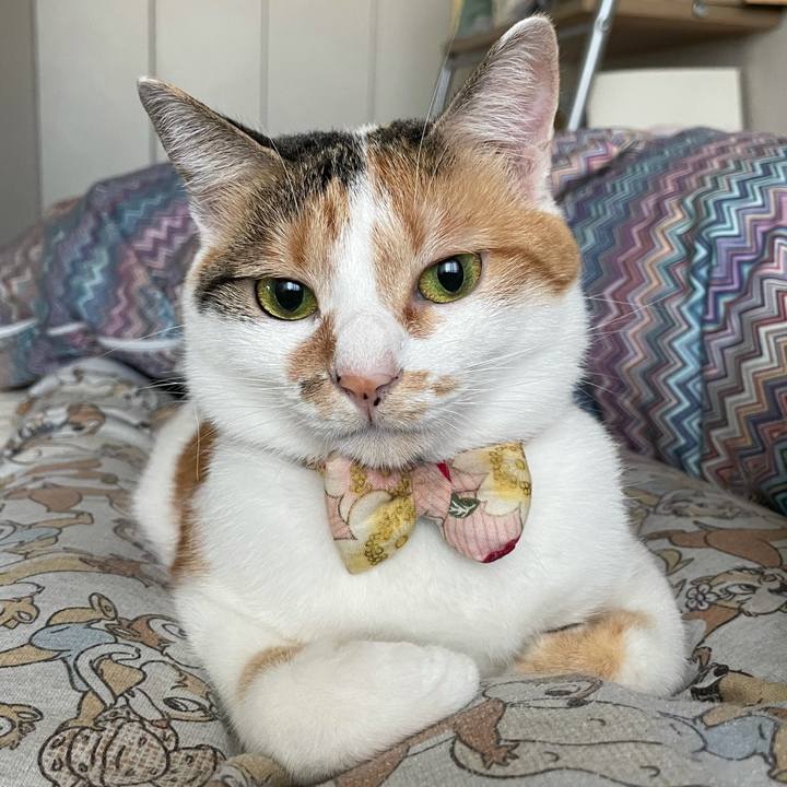 252c0698 a85b 4e0a ac79 5f66485724a8 1633645272483