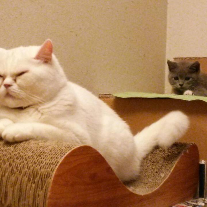 252c10da a737 4b25 9f6d 92699a603d17 1530829143965