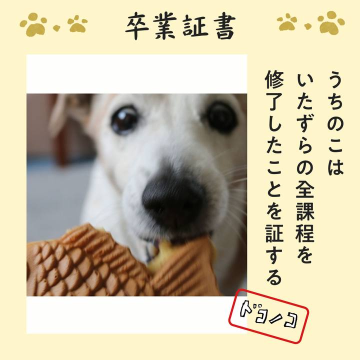 252c51f9 f671 4e89 8483 a590a07692c9 1771997999740