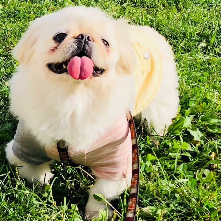 252c71c3 59cb 43fb ab0d e4296299b847 1569037096167