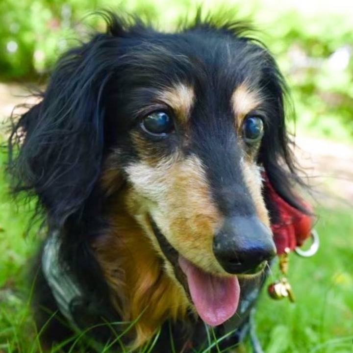 252c82da 91c5 4845 ae28 b17e68df42a5 1742298058445