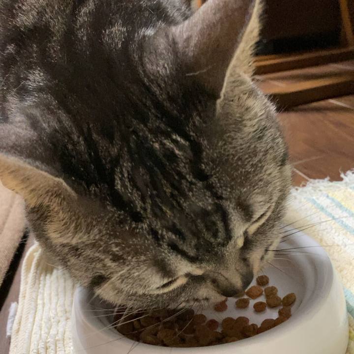 252c8af0 3131 4444 99ba b571926d6402 1634215093109