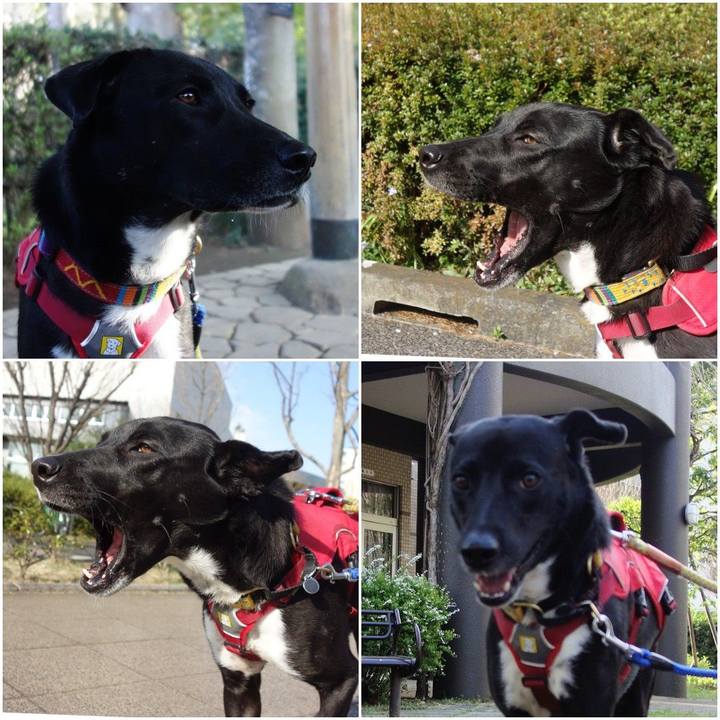 252c8f5d cc8d 4cd0 8d0f 4e88df662e60 1585185796670