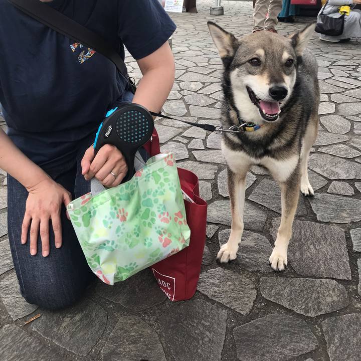 252c9187 fc95 4947 ae0d 7719f2de0e57 1559966225366