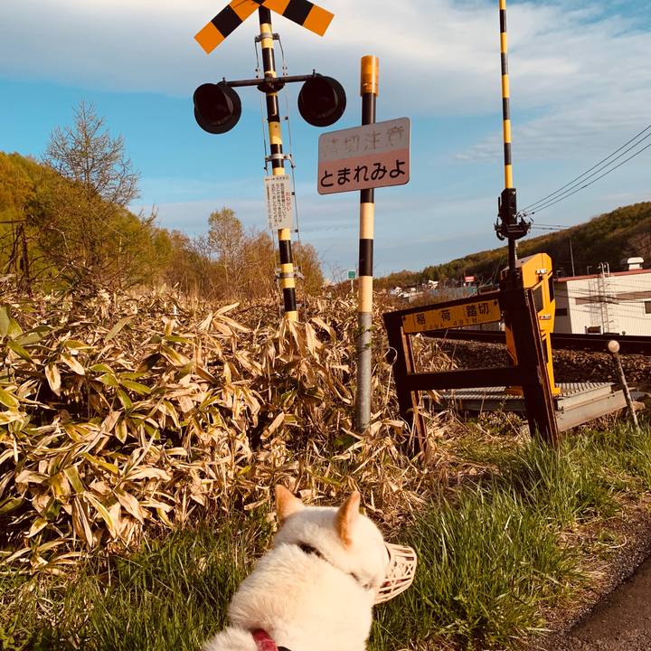 252cc1fa c3e1 40bc 95be 65c5834b584a 1588976750375