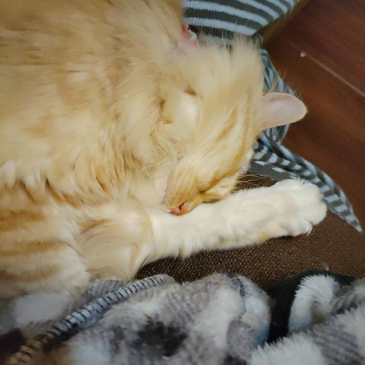 252ccc74 11ea 46fd bbf3 b1601ad6393b 1683983342812