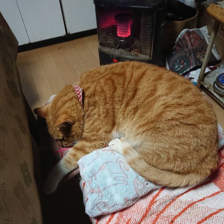 252cdb8c 7375 46d8 a400 d82b256361aa 1607028419074