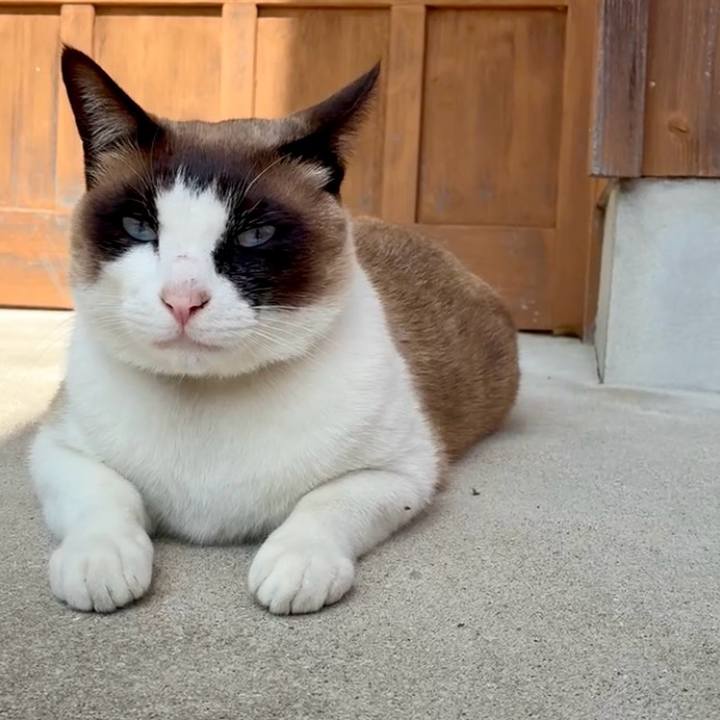 252cf3bb df35 4088 8bc5 d8470ffbc352 1744942894666