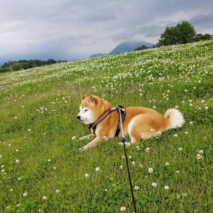 252cf5d1 6fbc 49a8 9047 ea0c33234d67 1654849378941