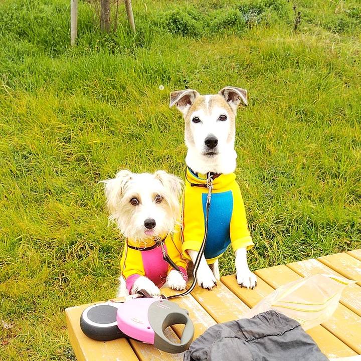 252d0687 01d1 42d0 a8b1 493b18ff2697 1581755776927