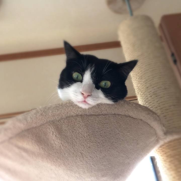 252d3e1a f01c 4c23 91d6 8dba4bf7d7ac 1520736404114