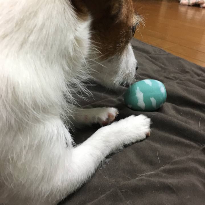 252d71ff b1c6 4fe6 bc9f 0cf57cc61150 1562472045906