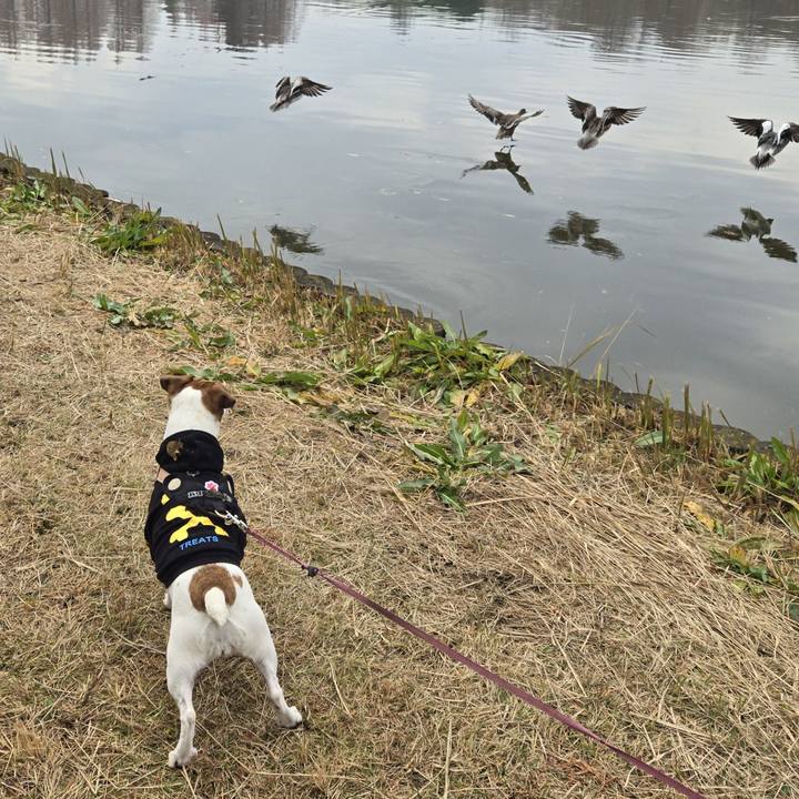 252d764e 410f 4afb 8678 7963668ab326 1766332826536